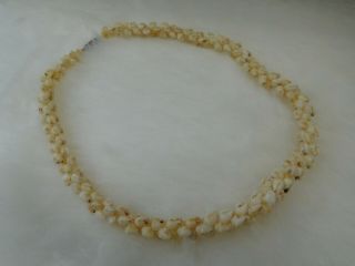 Vintage Hawaiian Niihau Rice Sea Shell Wedding Lei Style Necklace