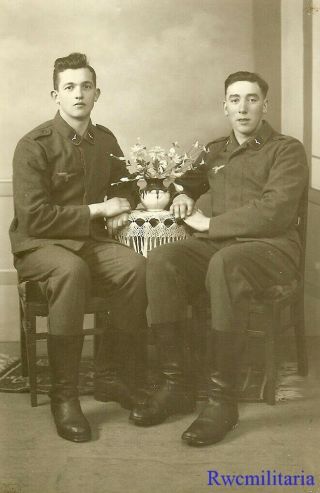 Port.  Photo: Buddy Studio Pic Pose By Seated Pair Luftwaffe Flak Soldiers