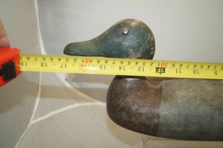 Antique 1910s - 20s LONG BODY Tack Eye Mallard Wood Hunting Duck Decoy Lure 7