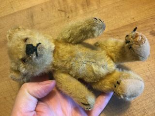 EARLY Vintage Antique Steiff Mohair Jointed Teddy Bear Stitched Claws 7” Loved 2