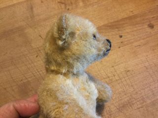 EARLY Vintage Antique Steiff Mohair Jointed Teddy Bear Stitched Claws 7” Loved 4