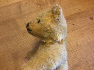 EARLY Vintage Antique Steiff Mohair Jointed Teddy Bear Stitched Claws 7” Loved 5