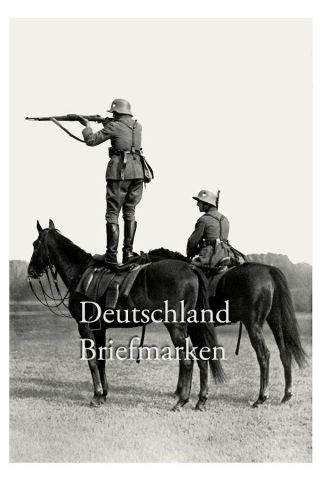 Germany Third Reich Wehrmacht Ww2 Waffen Ss Horses Ww2 Photo