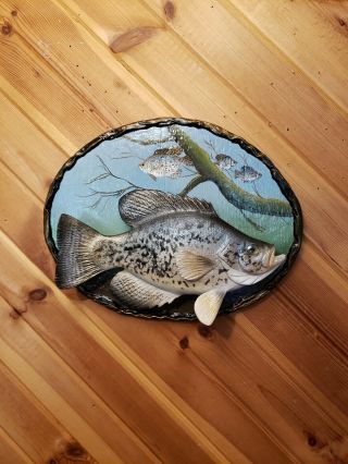 Crappie Wood Carving Trophy Fish Taxidermy Fishing Cabin Decor Casey Edwards