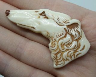 Charming Vintage Czech Early Plastic Dog Head Brooch Detail - Made In Czechslov