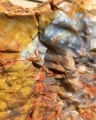Rare Arizona Rainbow Petrified Wood Natural Slab Rough Raw Solid Fossil 30 Lbs 9