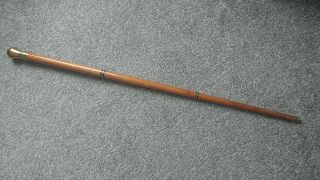 Gorgeous Vintage 3 Part Gents Walking Cane With Brass Knop & 