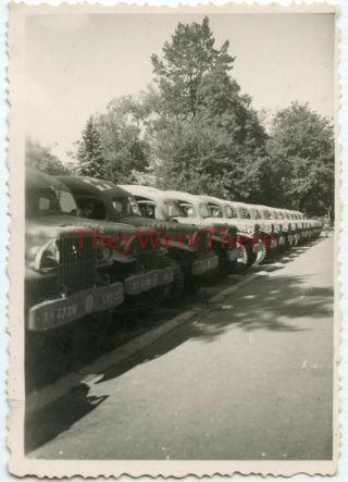 Wwii Photo - Row Of Several Us Army Dodge Medic Ambulances W/ Id 