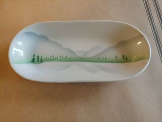 Vintage Gn Great Northern Glory Of The West 9.  5 " Relish Dish Syracuse China