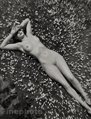1950s Vintage Print Surreal Female Nude Mid Century Photo Litho Art Zoltan Glass