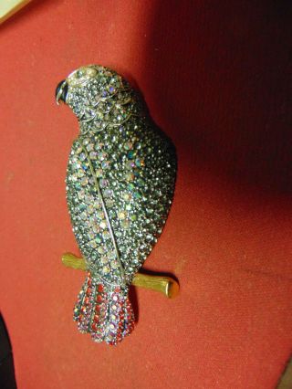 241 Large African Grey Parrot Pin Brooch Joan Rivers