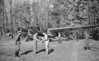 Wwii Photo Focke - Wulf Fw 189 In Forest Dispersal Ww2 World War Two Luftwaffe