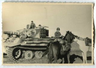 German Wwii Archive Photo: Panzer Vi Tiger Heavy Tank & Soldier With Horses