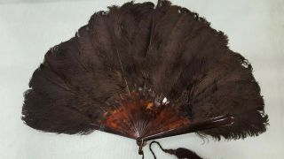 Antique Black Ostrich Plume Feather Shell Fan Huge Gorgeous 24 "