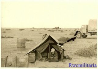 Best Wehrmacht Afrika Korps Soldier In Desert Tent By Captured British Lkw Truck