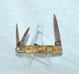 Vintage A W Wadsworth & Son Bone Whittler Knife 1905 - 36 No Case Or Box "