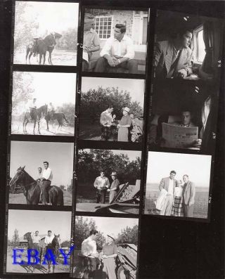 Jeff Richards Candids W/horses Vintage 21/4 Contact Sheet Photo
