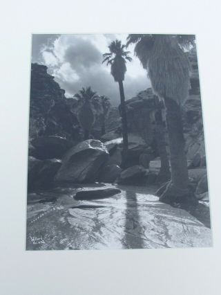 Vintage Stephen Willard Black And White Photo Palm Springs California