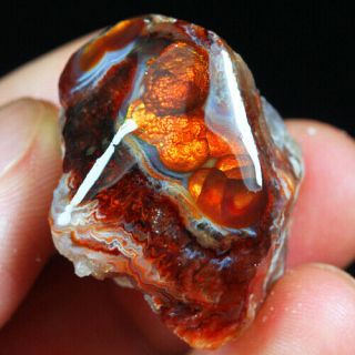 88.  25ct 100 Natural Mexican Multi - Colored Fire Agate Facet Rough Yfm1654