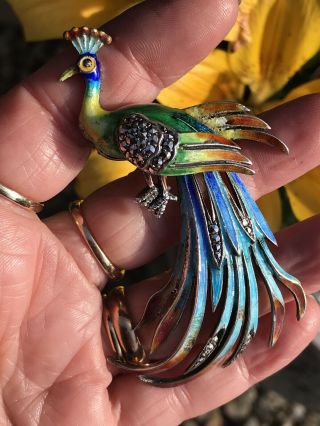 Huge Antique Art Deco 800 Silver & Enamel Peacock Bird Brooch/pin