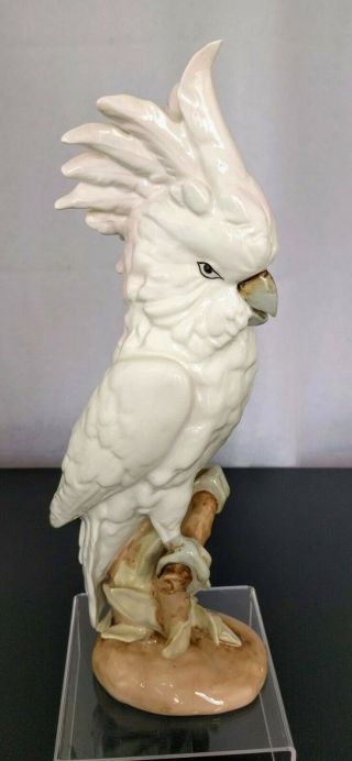 Vtg Royal Dux Large Crested White Cockatoo Porcelain Figurine Parrot Bird Gloss