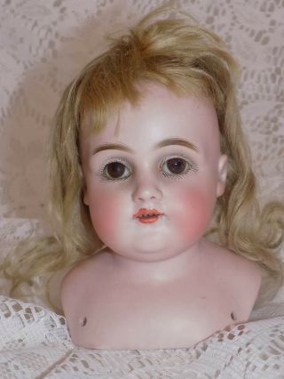 Antique German Kestner 154 Doll Head Plaster Pate And Mohair Wig