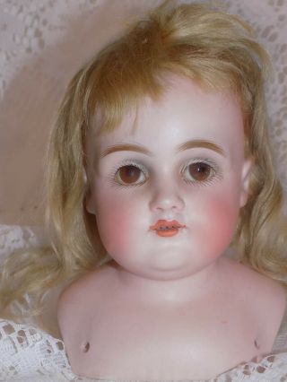 Antique German Kestner 154 Doll Head Plaster Pate and Mohair Wig 2