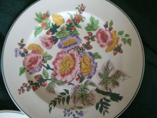3 Wedgwood Etruria Hollyhock 10 1/4 " Dinner Plate Green Trim A7592 Vintage 1930