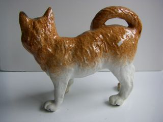 Vintage Porcelain Staffordshire 1920 ' s Orange Cat 3