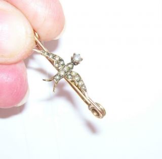 Antique Victorian 9ct Gold Seed Pearl Dove Lovers Swallow Bird Tie Stick Pin