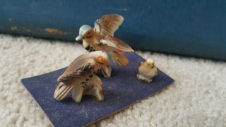 Vintage Miniature spotted Bird family 3 Figurines,  feed Bone China Japan Napco 3