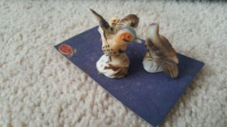 Vintage Miniature spotted Bird family 3 Figurines,  feed Bone China Japan Napco 4