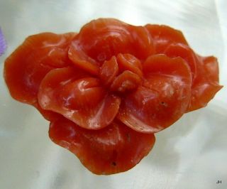 Victorian Hand Carved Undyed Coral Flower Loose For Jewelry Pin Necklace