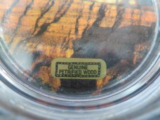 Vintage Ashtray Petrified Wood Souvenir from GRAND CANYON 4