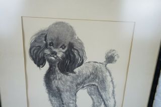 Vintage Da Wei KWO Poodle Dog Print Asian Framed Art Lithograph RARE 2