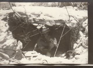Wwii Snapshot Photo Gi In Blasted Japanese Pillbox Bunker 1943 Pto 20
