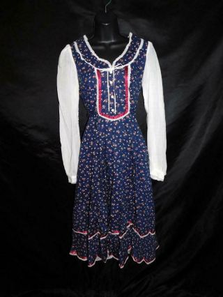 Vintage Gunne Sax Dress Xs 11 Blue Pink Floral Dot Long Sheer Sleeves Jessica