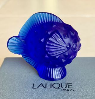 Vintage Lalique Crystal Puffer Fish In Cobalt Cap Ferrat Blue Box