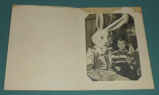 Vintage Photo Boy With Easter Bunny Horror Hess Brothers Hess 