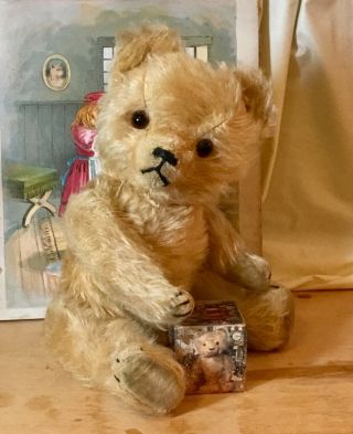 12” Antique 1930s German Hermann Teddy Bear,  Adorable,  Blonde Mohair,  Glass Eyes