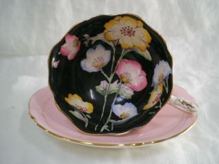 Vintage Paragon Bone China Floral,  Black & Pink Tea Cup & Saucer