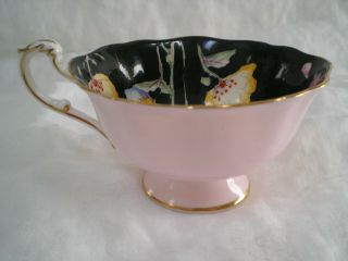 Vintage Paragon Bone China Floral,  Black & Pink Tea Cup & Saucer 5