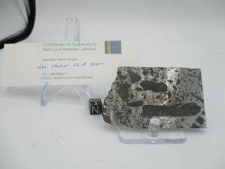 Udei Station Iron Meteorite.  55.  18 Gram Slice.  Witnessed Fall.  Rare Class.