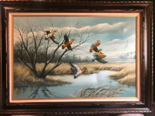 Duck Painting Oil On Canvas,  Vintage,  Very Large,  Signed By Artist,  Colliour ?