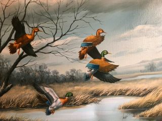 Duck Painting Oil on Canvas,  Vintage,  Very Large,  signed by artist,  Colliour ? 3