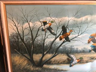 Duck Painting Oil on Canvas,  Vintage,  Very Large,  signed by artist,  Colliour ? 5