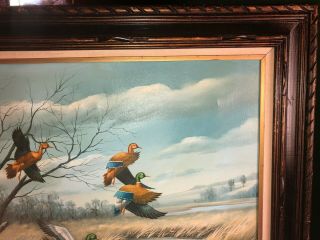 Duck Painting Oil on Canvas,  Vintage,  Very Large,  signed by artist,  Colliour ? 8