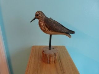 Peep Shore Bird Decoy By Steve Morey Suitcase Style