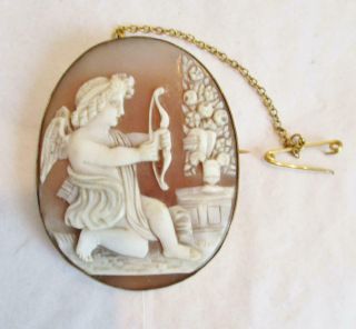 Large 19thc Cupid Shell Cameo Brooch Pinchbeck Frame With Safety Chain