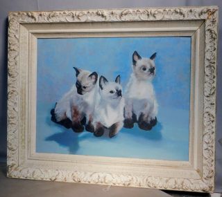 Vintage Modern Oil Painting Portrait 3 Siamese Cats Kittens 1950s Sweet